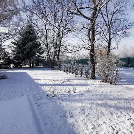 Szent Erzsebet Apartmanhaz Kecskemét المظهر الخارجي الصورة
