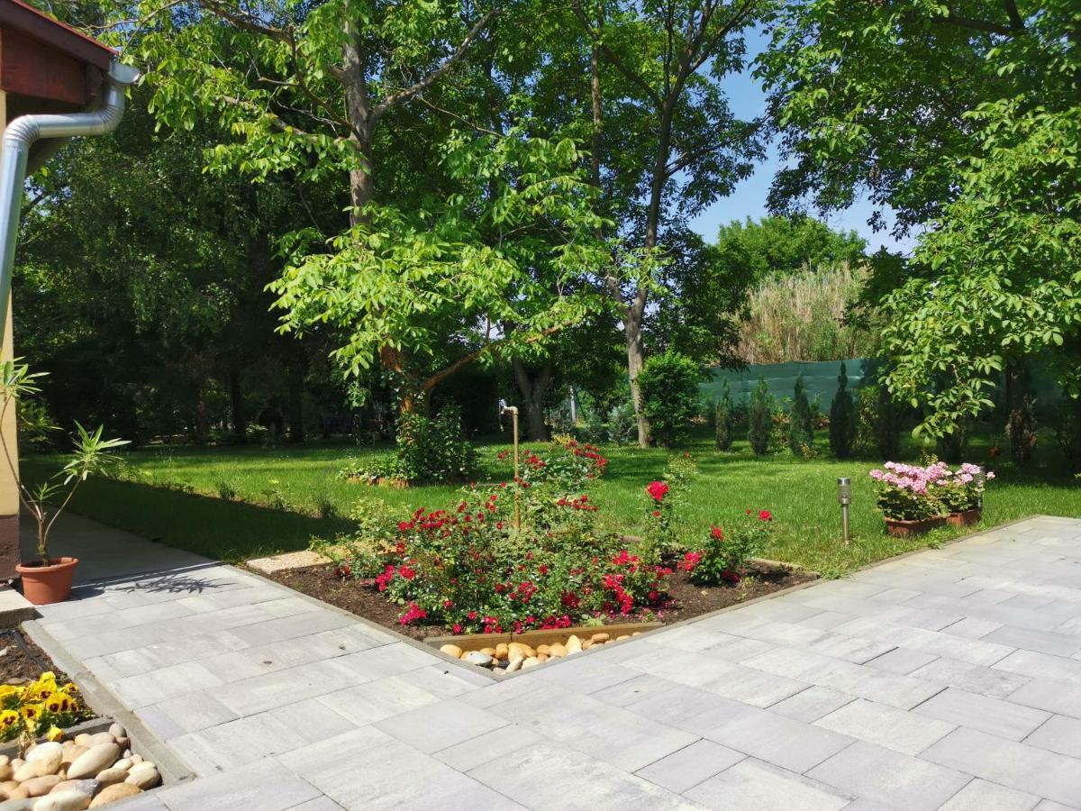 Szent Erzsebet Apartmanhaz Kecskemét المظهر الخارجي الصورة